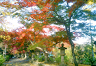 紅葉狩り(三田洞弘法)